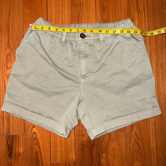 Chubbies "The Forests" Light Green Stretch Shorts in 5.5" Inseam (Size Medium) - Picture 1 of 7